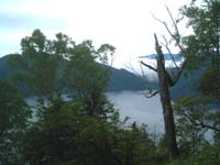 ���T���΂̌i�F