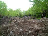 �n��̓o�R��