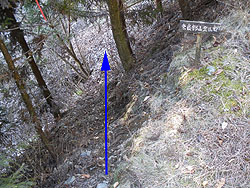 �ޗǕ��R�o�R��