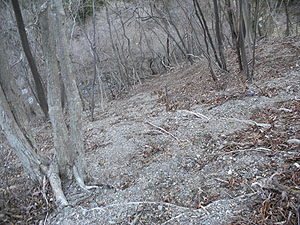 �J��܂ŗ����Ă��܂������`