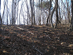 ���Ə����ŎR��