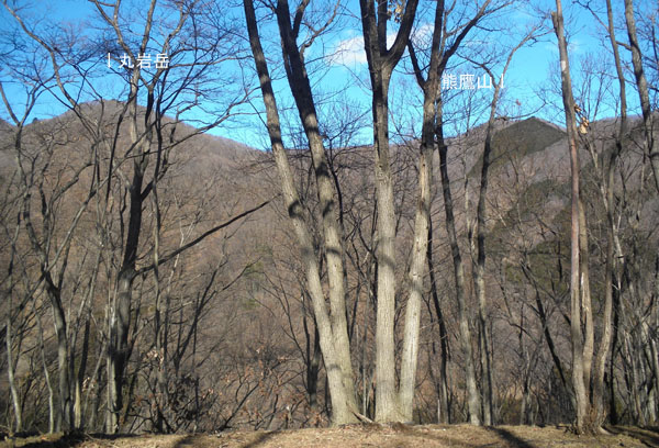 �ۊ�x�ɌF��R