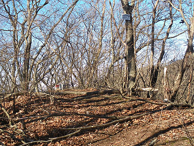 �ޗǕ��R�R��(958.4m)