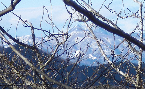 �R������̒���