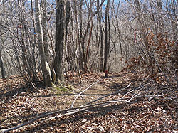 ����������������