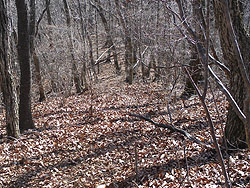 �����t�ɕ���ꊊ��`