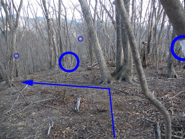 �ԈႢ�Ղ������ȁ`�����̕���