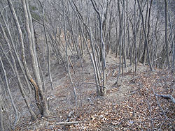 �ɂ₩�Ȕ���