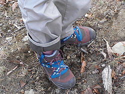 �A�C�[���͎g���邩�Ȃ��`�H