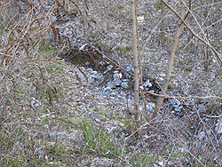 �򂪌����Ă���