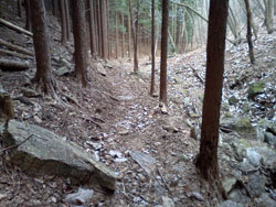 ���ꂩ��̓o�R��