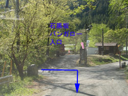 ����΃o���K���[