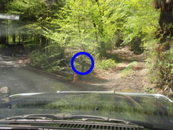 ���{�R�o�R���̕W��