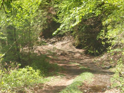 �y������̐ՁH