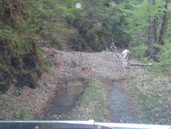 ���Α����猩���