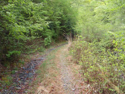 �؂̎}����������`