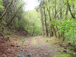 �ѓ���i��