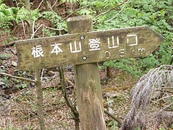 ���{�R�o�R��0.3km�W��