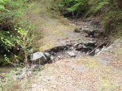 �זv���Ă���