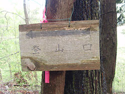 �o�R���̊Ŕ�