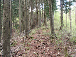 ���������̓�