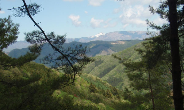 白根山