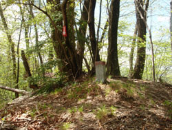 �s���H�̕���