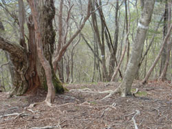 �x�������̏ꏊ