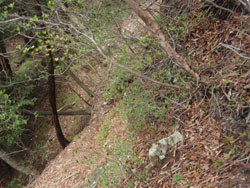 �����̗������ꏊ