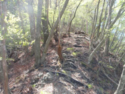 �o�肪�����Ȃ����`