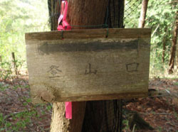 �o�R���̊Ŕ�