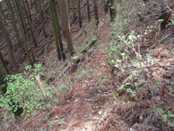 ���т̋�\��܂̓�