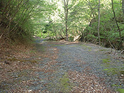 �k�������̗ѓ�������B