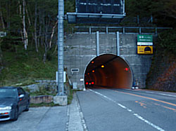 �������g���l��