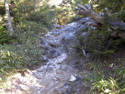 ������ꂽ�B