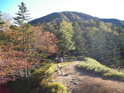 �������ɓ���