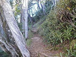 ���򃖊x�ւ̓o�R��