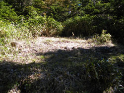 �������Ւn