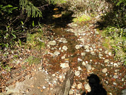 �������Ւn�߂��̐���