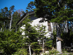 �O��������