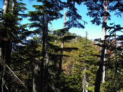 �������R