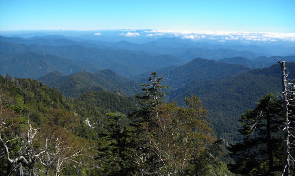 �������R�R���t�߂���̒���