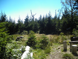 �O��������