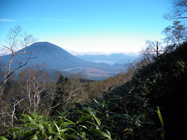 �o�R������̒���