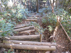 �i���̍����ؒi