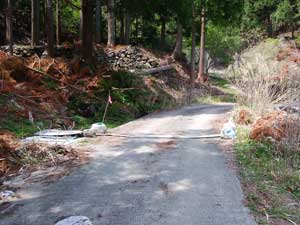 �ѓ���i�ށ`