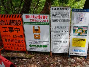 �H�����̊Ŕ�