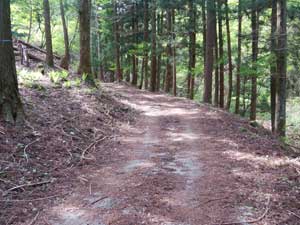 �H���Ŕ���̗ѓ��B