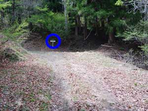 ����R�̕W��