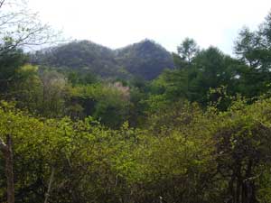 ����R���낤���`